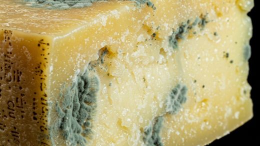 Can You Eat Moldy Parmesan