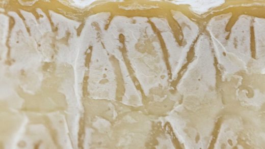 Can You Eat The Skin Of Brie