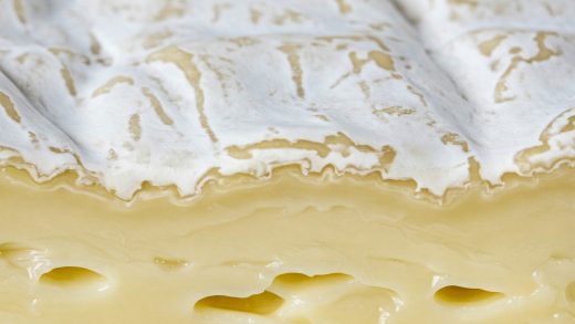 Can You Eat the Skin of Camembert Cheese